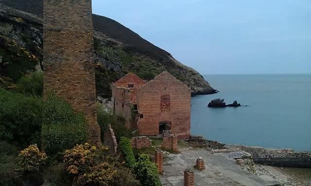 Leafy Lane Guesthouse Amlwch Eksteriør billede